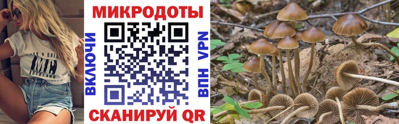 Галлюциногенные грибы Magic Shrooms  Пудож 