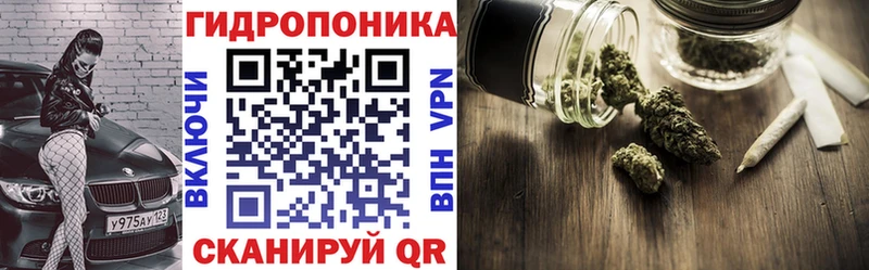 Конопля планчик  Пудож 
